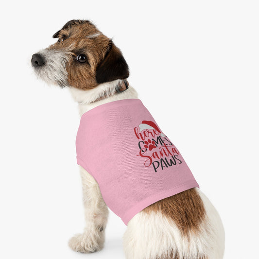 Small brown and white dog wearing a pink “Here Comes Santa Paws” Christmas pet tank top while looking back at the camera.